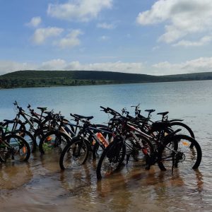 X Fit The Training Ground